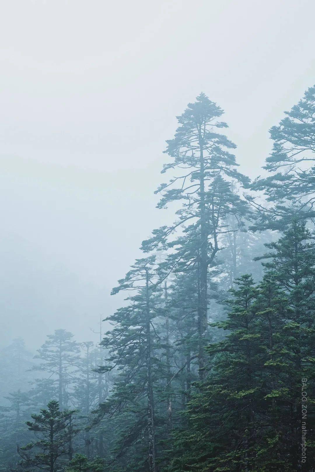 拯救昆虫群